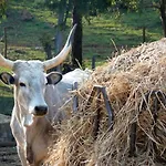 Gospodarstwo agroturystyczne Gelsomina- La Valentina