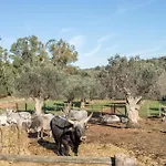 Gelsomina- La Valentina Farma Talamone