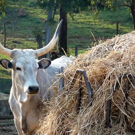 Farm stay Gelsomina- La Valentina