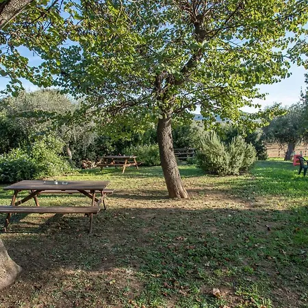 Farm stay Gelsomina- La Valentina